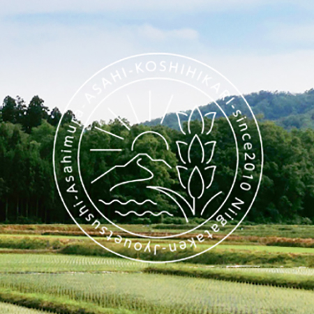 朝日コシヒカリ